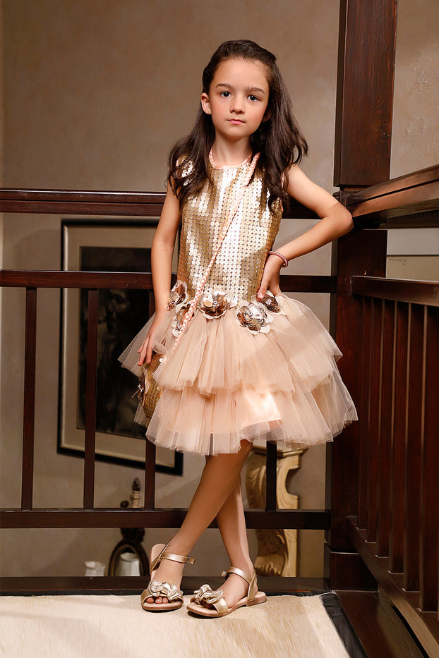 Sequins Net Layered Tutu Style Frock | WC1920 | F2084