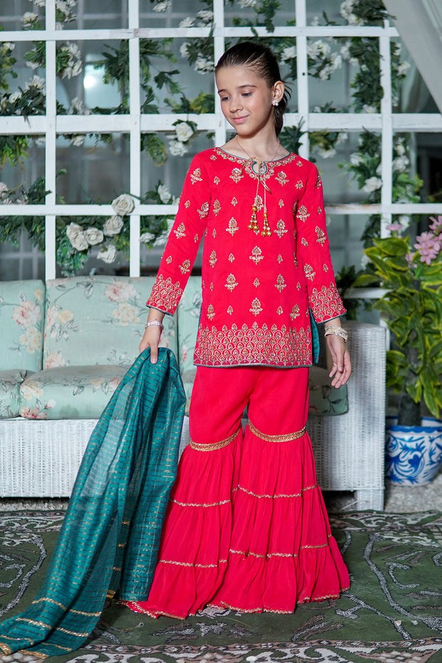 Zari Embroidered Gharara Suit | TEHWAAR | G3153