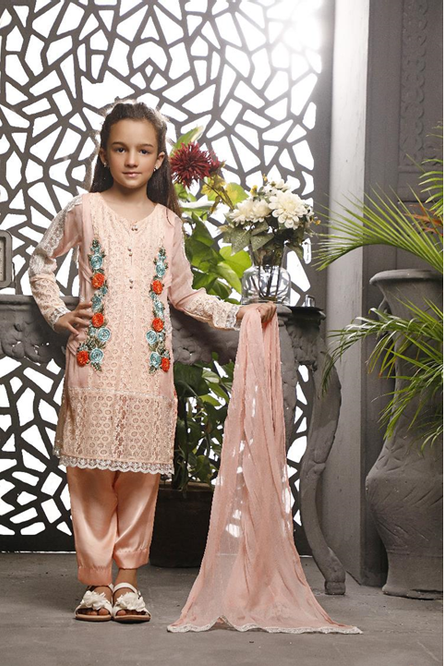Embroidered Ethnic 3pc Suit | EG17 | S451