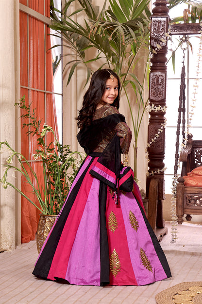 Moonlight & Raw Silk Lehenga Choli | SHENDI | L3135