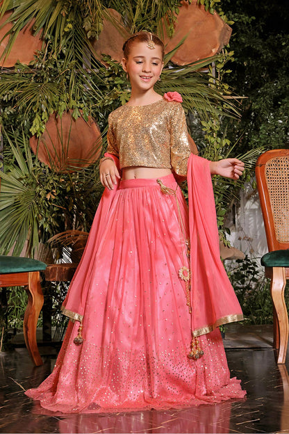 Sequins Net Lehenga Choli | ZEENAT | L3189