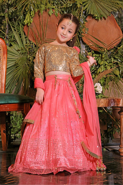 Sequins Net Lehenga Choli | ZEENAT | L3189