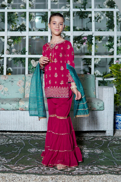 Zari Embroidered Gharara Suit | TEHWAAR | G3153