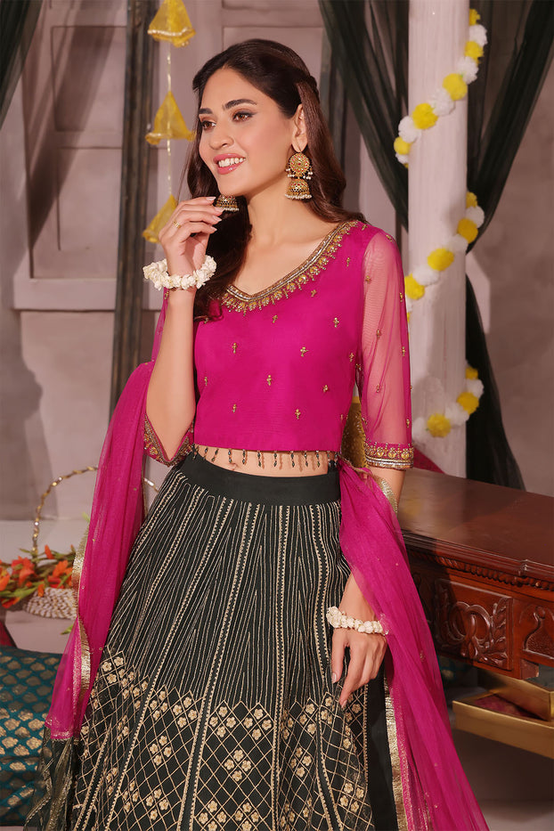 Zari Embroidered Lehenga Choli | SHENDI | L202387