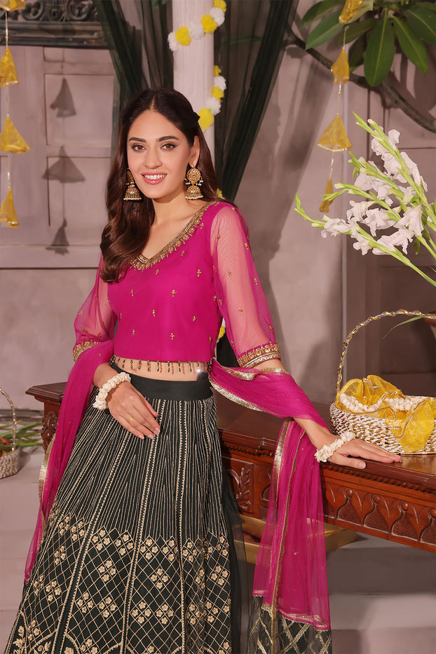 Zari Embroidered Lehenga Choli | SHENDI | L202387