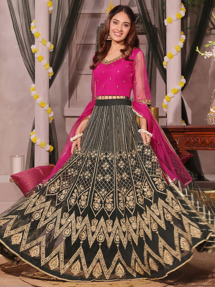 Zari Embroidered Lehenga Choli | SHENDI | L202387