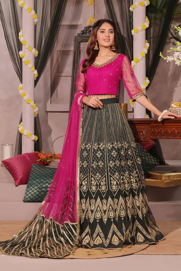 Zari Embroidered Lehenga Choli | SHENDI | L202387