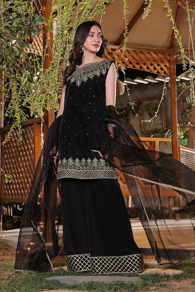 Zari Embroidered Plazo Suit | New Arrivals | P202347