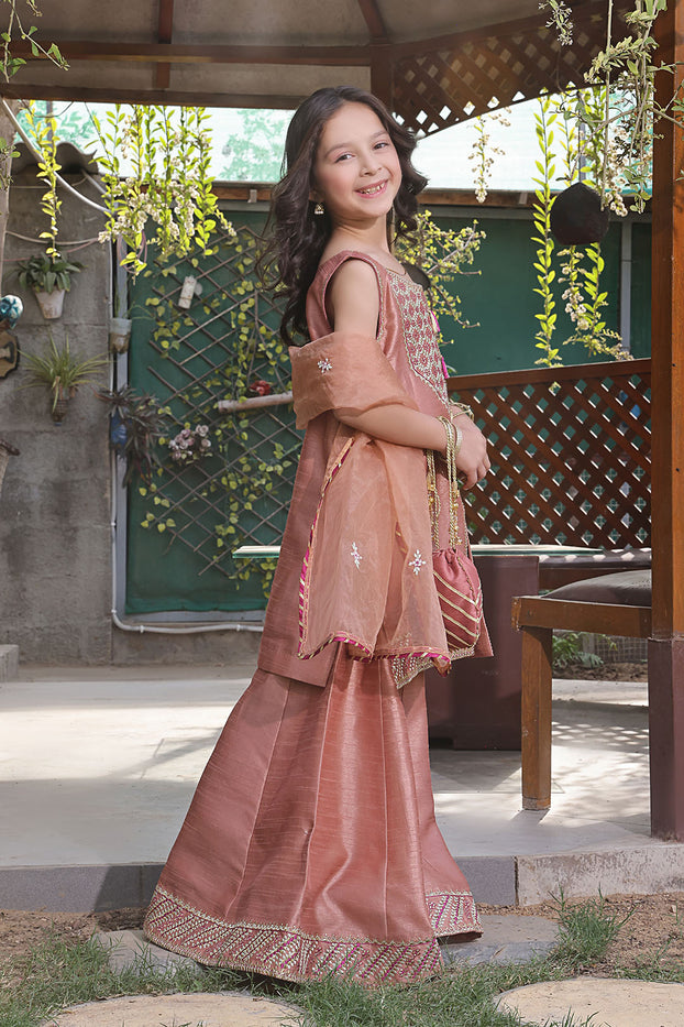 Embroidered Raw Silk Plazo Suit | New Arrivals | P3214