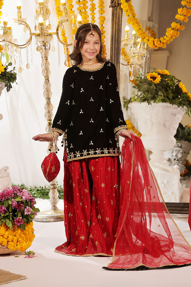 Mirror Embroidered Velvet Net Plazo Suit | SHENDI | P3249