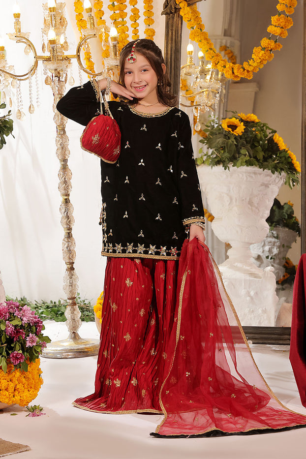 Mirror Embroidered Velvet Net Plazo Suit | SHENDI | P3249