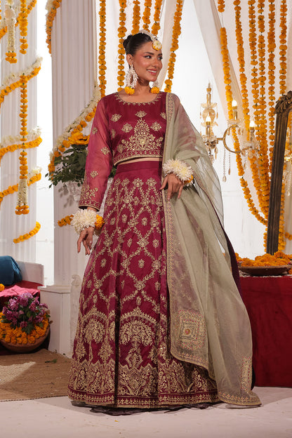 Handwork Embroidered Organza Lehenga Choli | SHENDI | L202326