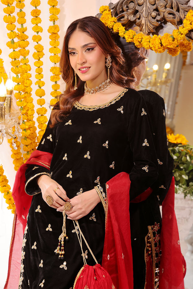 Mirror Embroidered Velvet Net Plazo Suit | SHENDI | P123249