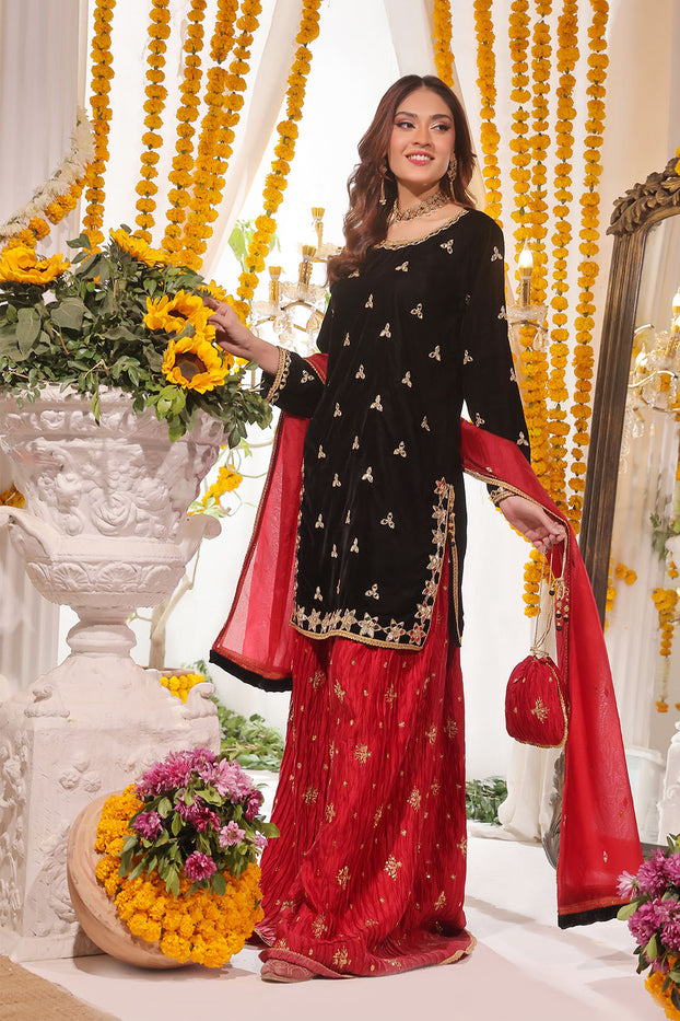 Mirror Embroidered Velvet Net Plazo Suit | SHENDI | P123249