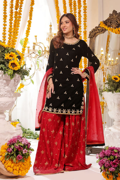 Mirror Embroidered Velvet Net Plazo Suit | SHENDI | P123249