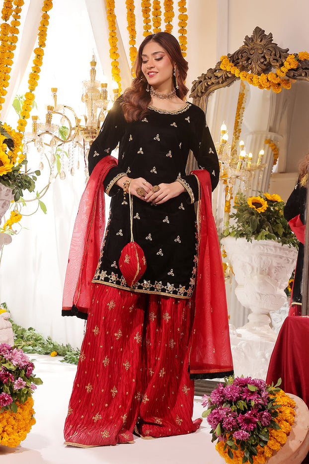 Mirror Embroidered Velvet Net Plazo Suit | SHENDI | P123249