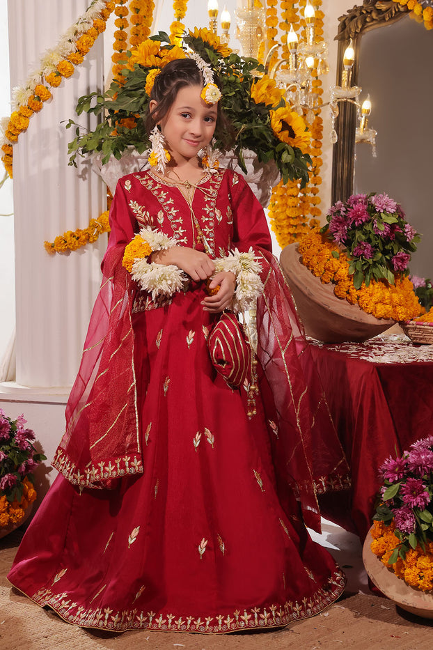 Embroidred Raw Silk Lehenga Choli | SHENDI | M3250