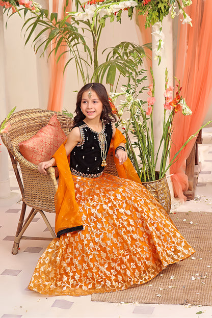 Velvet & Organza Lorex Lehenga Choli | SHENDI | L3196