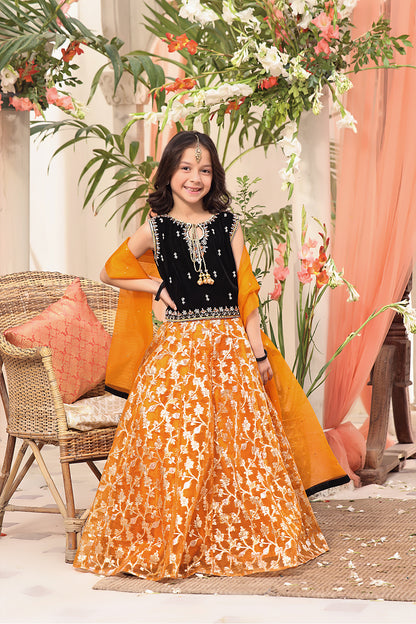 Velvet & Organza Lorex Lehenga Choli | SHENDI | L3196