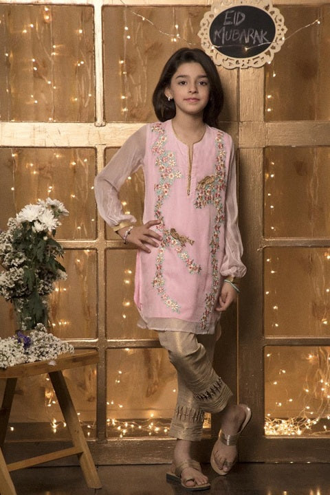 Embroidered Ethnic 2pc Suit | EG17 | S1010