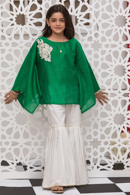 Embroidered Ethnic 2pc Suit | EG17 | S1066 - SANA'S