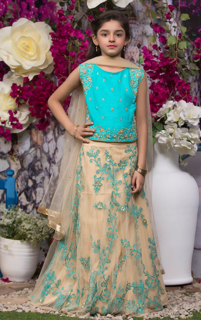 Embroidered Raw Silk Lehenga Choli | SS18 | NS1306 - SANA'S