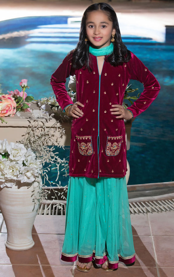 Embroidered Velvet Gharara Suit | WC1718 | NP1309 - SANA'S