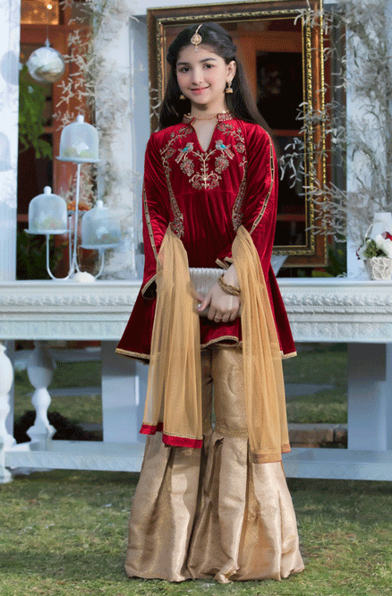 Handwork Embroidered Peplum Style Gharara Suit | WC1718 | G1321