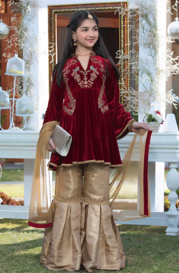 Handwork Embroidered Peplum Style Gharara Suit | WC1718 | G1321