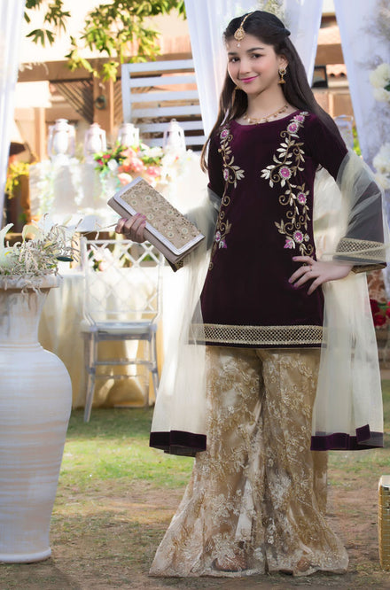 Handwork Embroidered Velvet Plazo Suit | WC1718 | P1326 - SANA'S