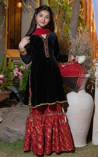 Handwork Embroidered Velvet Gharara Suit | WC1718 | G1330 - SANA'S