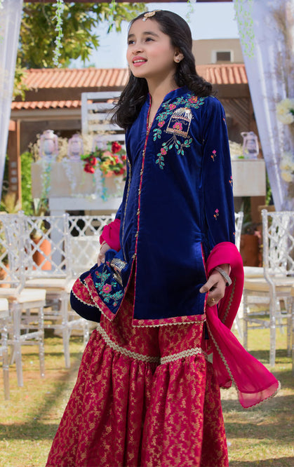 Embroidered Velvet Banarsi Gharara Suit | WC1718 | G1336 - SANA'S