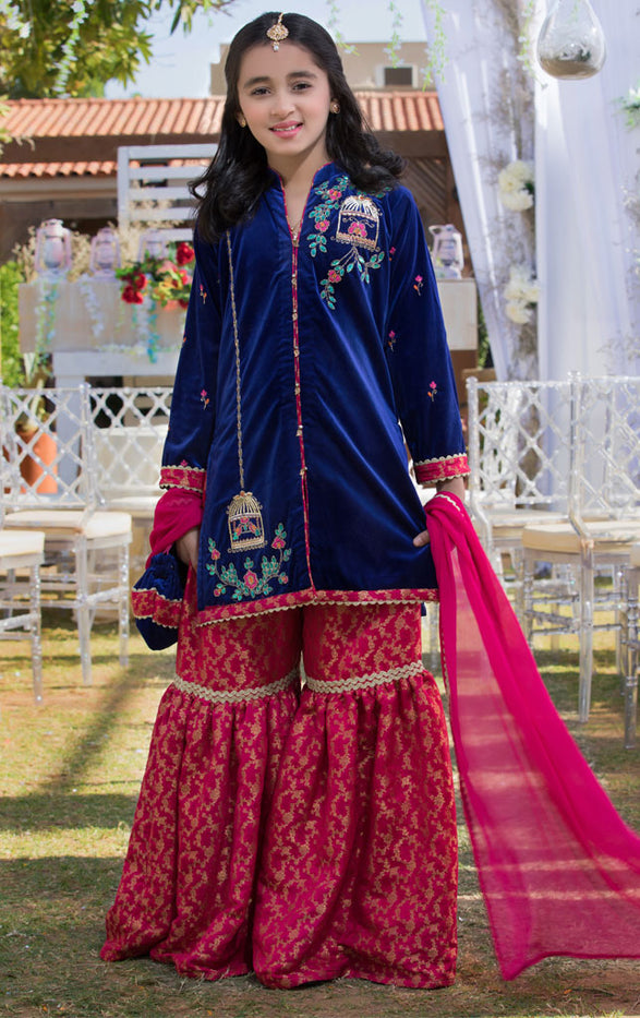Embroidered Velvet Banarsi Gharara Suit | WC1718 | G1336 - SANA'S