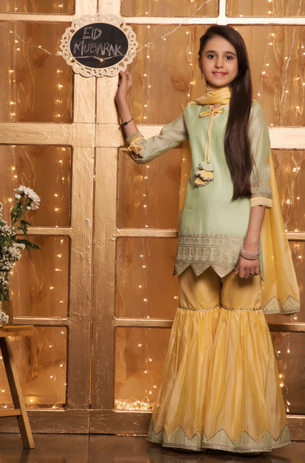 Embroidered Ethnic Gharara Suit | EG17 | G1383