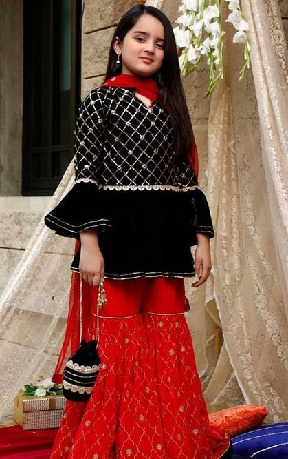Handwork Embroidered Velvet Gharara Suit | WC1920 | G1385