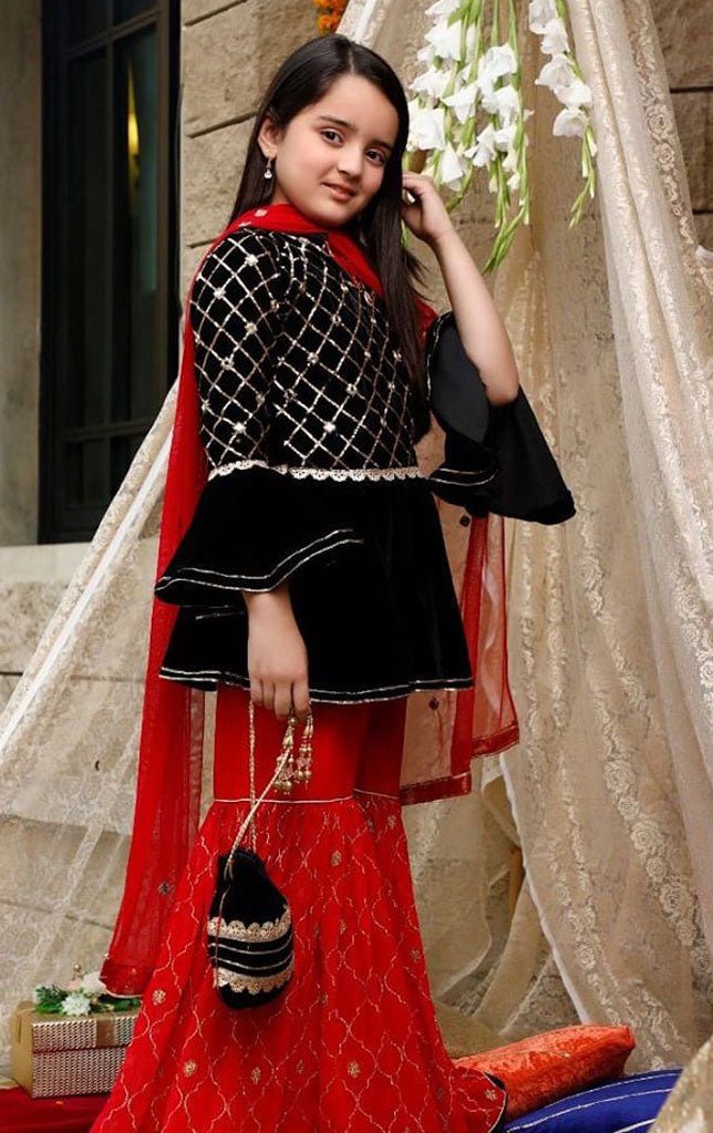 Handwork Embroidered Velvet Gharara Suit | WC1920 | G1385