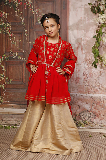 Embroidered Ethnic Plazo Suit | EG17 | P3044