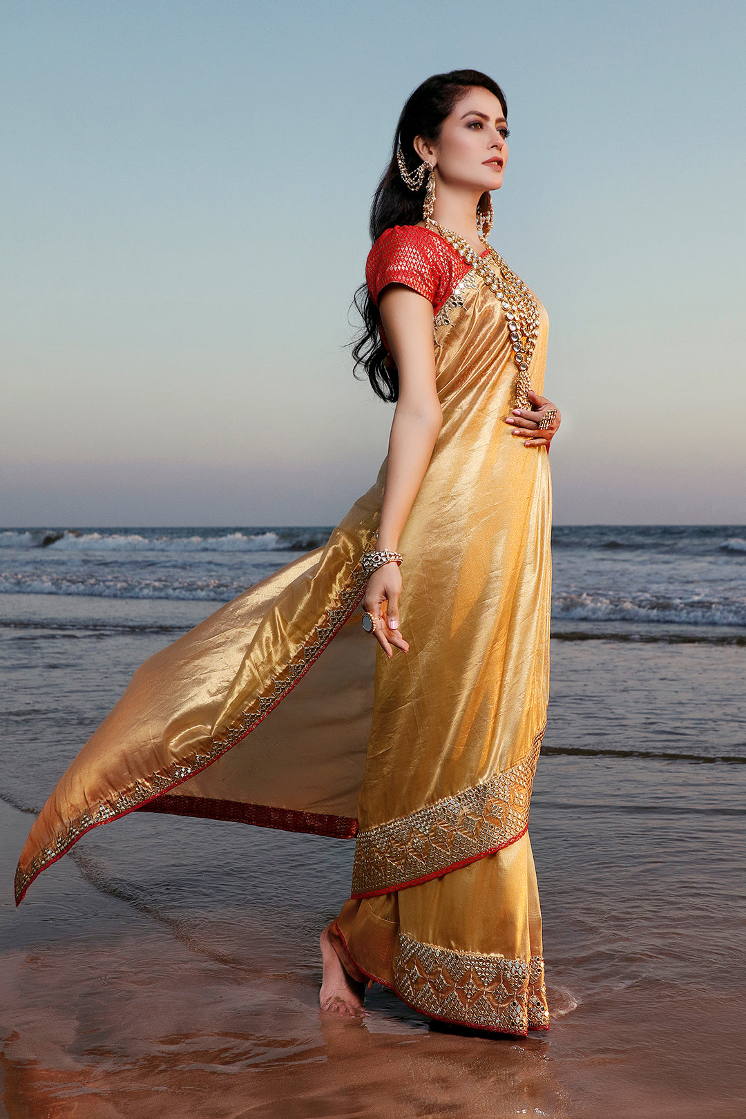 Mirror Embroidered Organza Brocade Saree | SIRA | SR202057