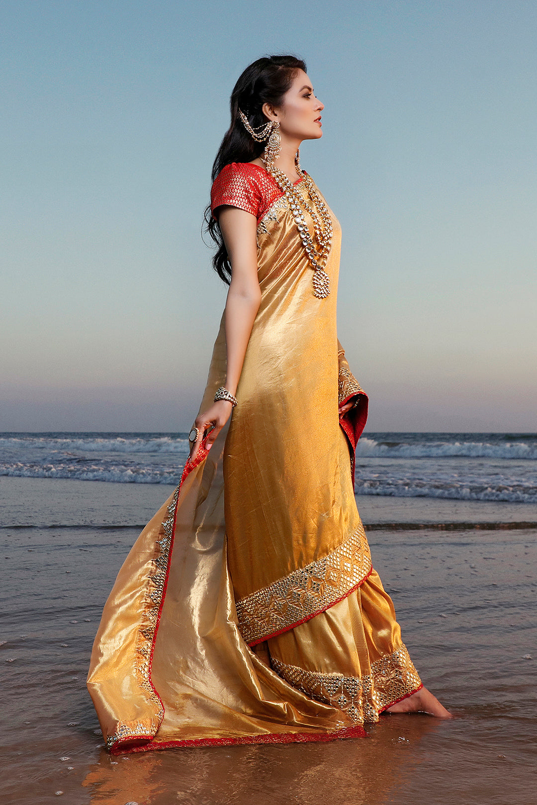 Mirror Embroidered Organza Brocade Saree | SIRA | SR202057