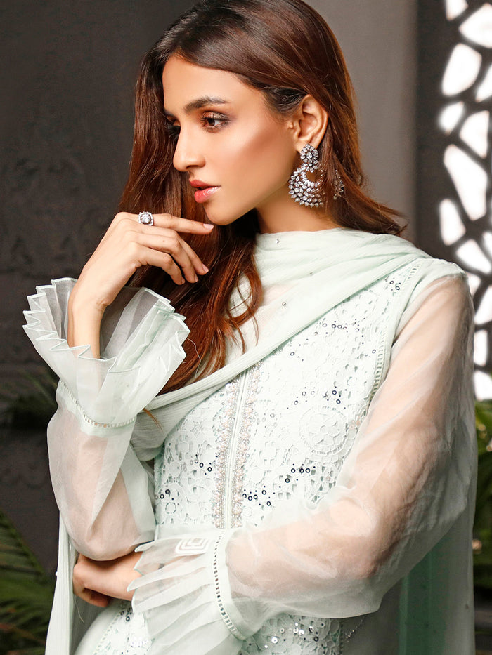 Zari Lace Handwork Embroidered Net 3pc Suit | Nikhaar | S782 – SANA'S