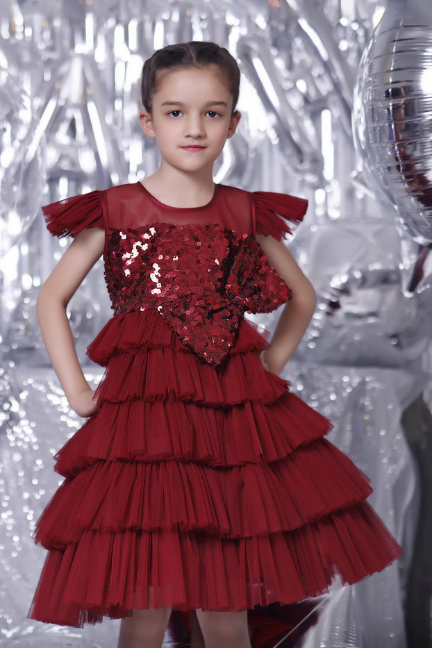 Sequins Net Layered Frock | BIRTHDAY BASH | F2040