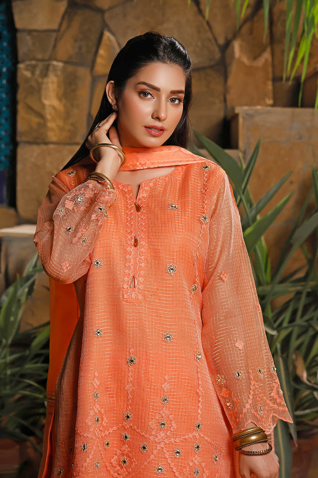 Aari Embroidered Zari Organza 3pc Suit | Eid Affairs | S202142