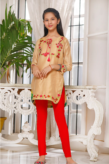 Embroidered Cotton Net 2pcs Suit | MID SUMMER | S1022