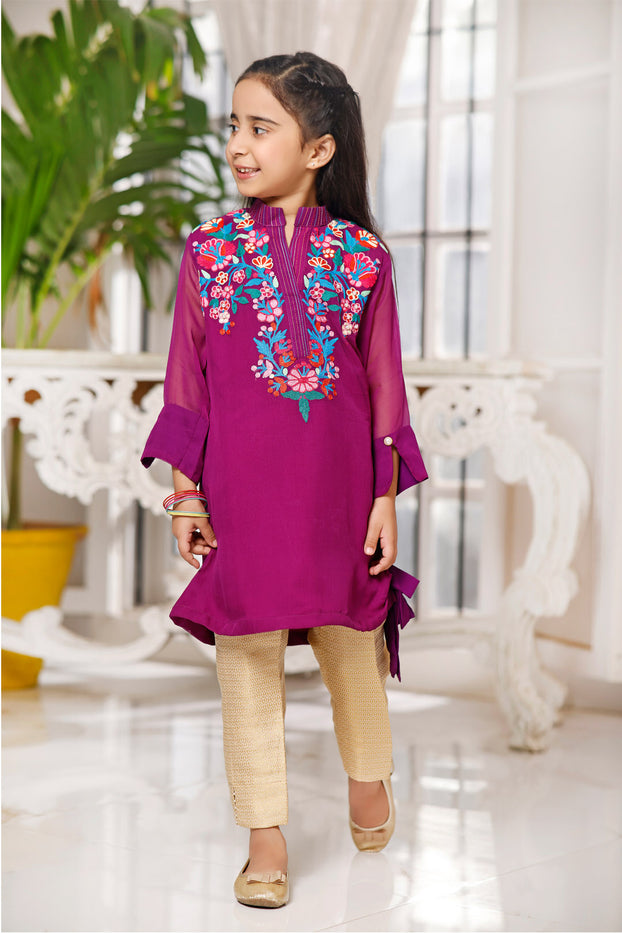 Embroidered Chiffon 2pc Suit | MID SUMMER | S1017