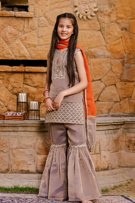 Mesuri Zari Embroidered Gharara Suit | Meerab Festive Edit | G3082
