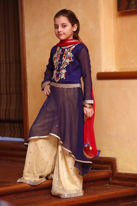 Embroidered Ethnic Plazo Suit | GFC16 | P331