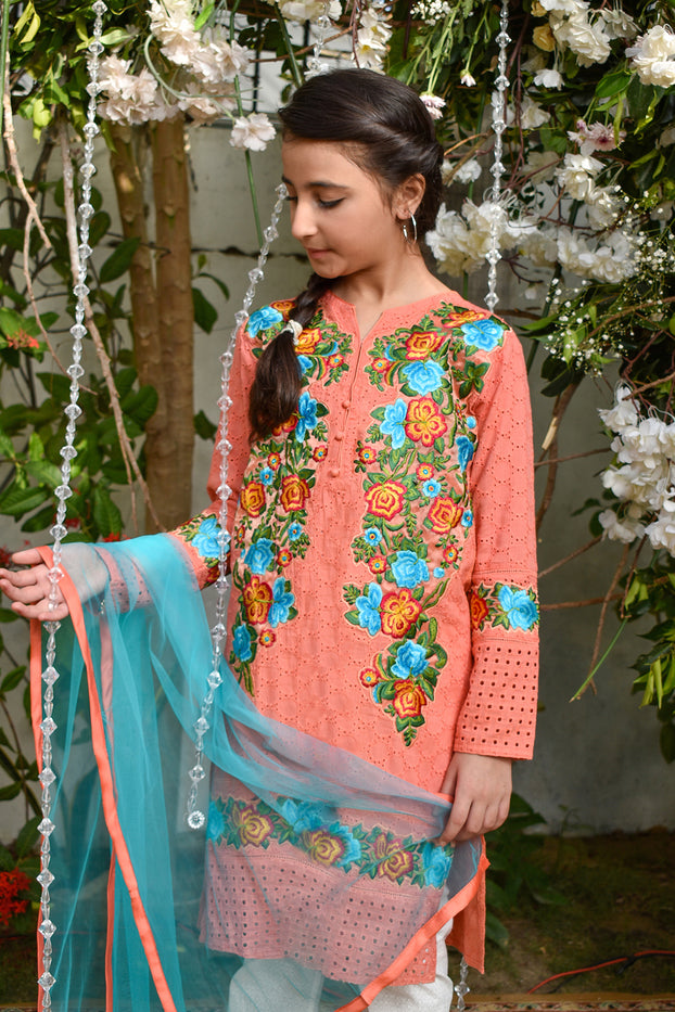 Embroidered Ethnic 3pc Suit | GFC16 | S302 - SANA'S