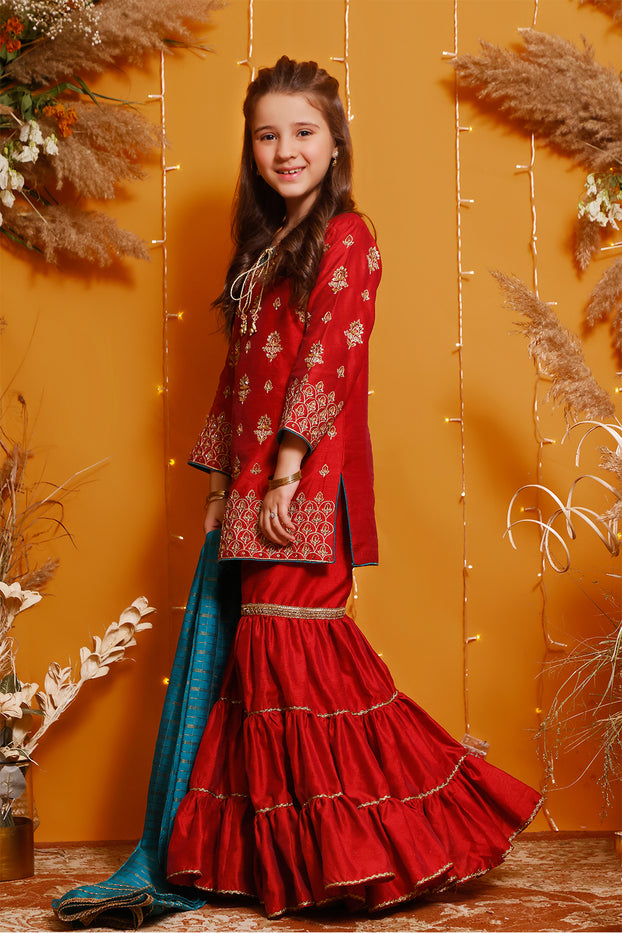 Aari Embroidered Raw Silk Gharara Suit | MEHRU | G3085