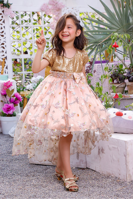 Embroidered Flare Sequins Skirt Style Frock | KAIRA | F2146
