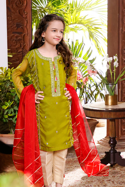 Zari Mirror Embroidered Organza 3pc Suit | TEHWAAR | S3179